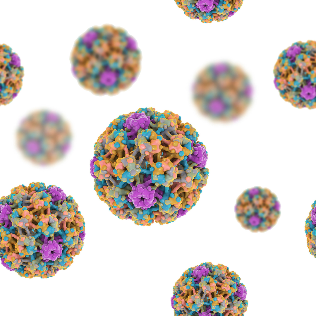 HPV szűrés