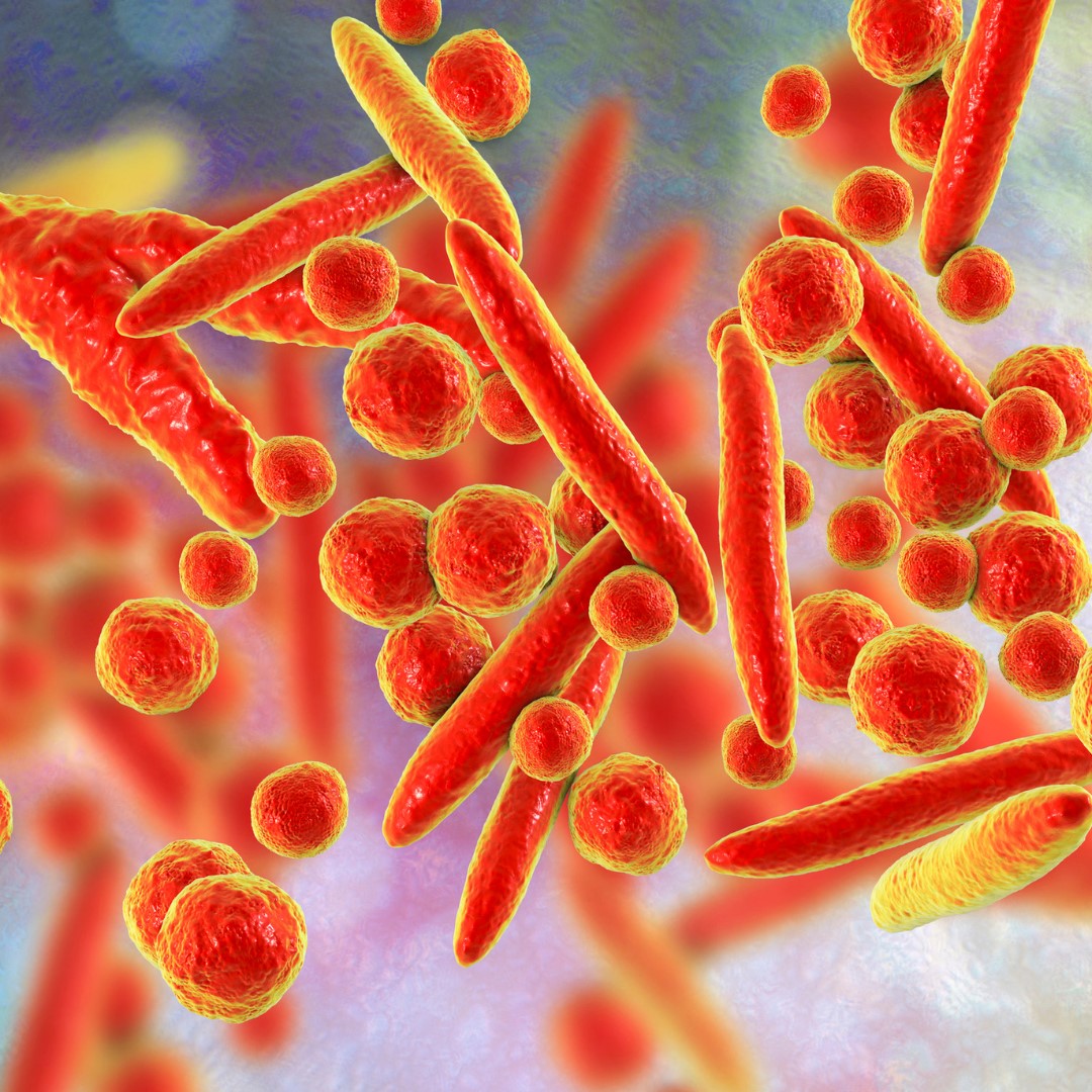 Ureaplasma, micoplasma szűrés